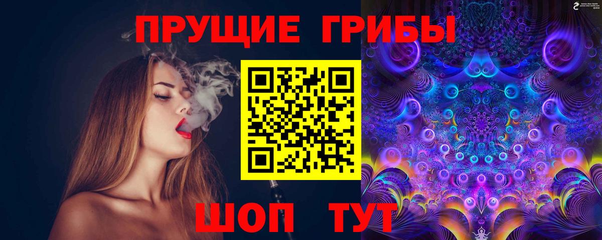 Галлюциногенные грибы Psilocybe Прохладный