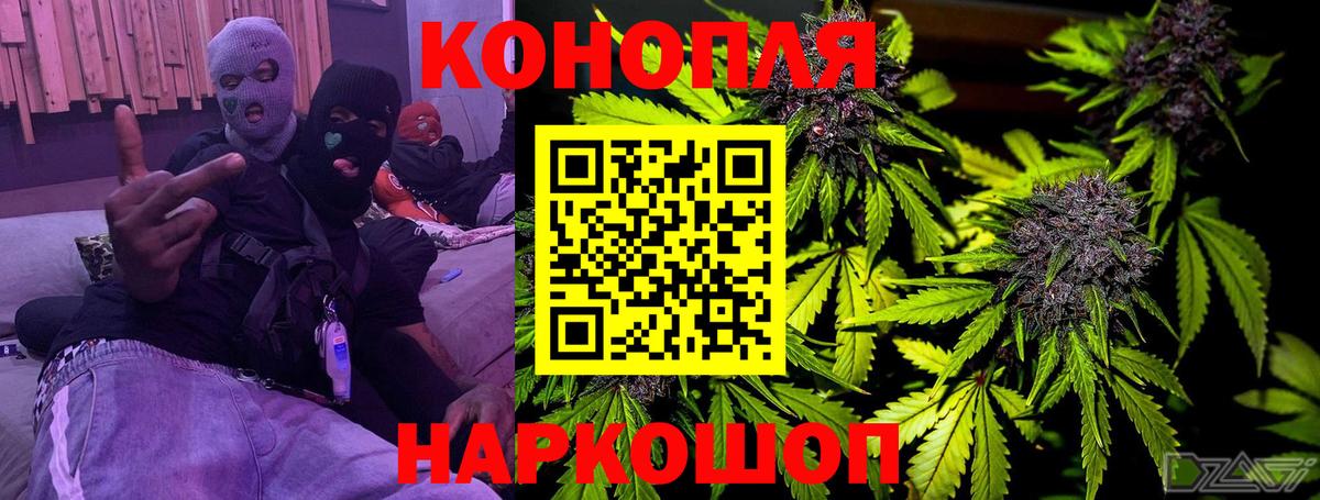 Бошки Шишки индика Прохладный